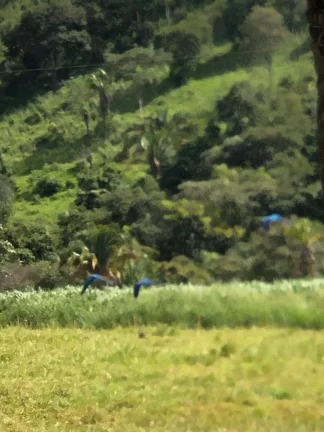 Imagem Fazenda à venda em Cocalzinho de Goiás/GO