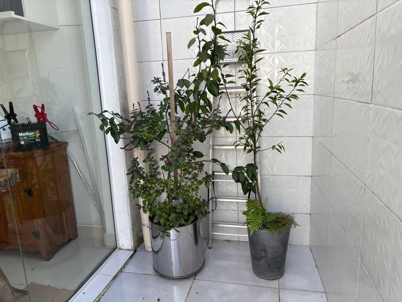 Imagem Loja comercial 450m² bairro - Glória