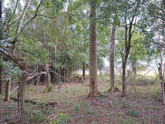Imagem Lindos Terrenos residenciais, Águas Claras / Viamão