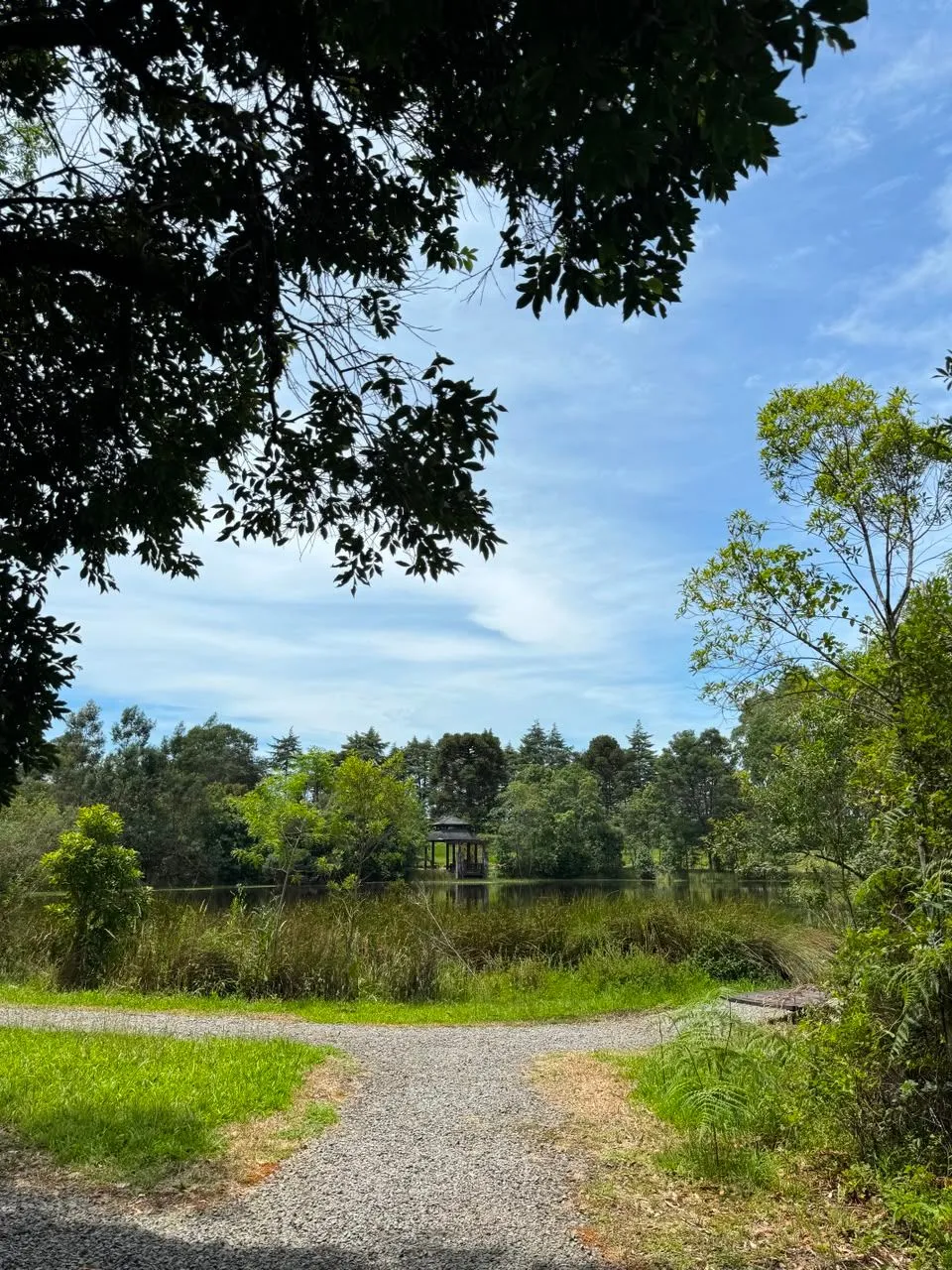 Imagem Terreno em Condomínio à venda em Canela, Centro, 851m2