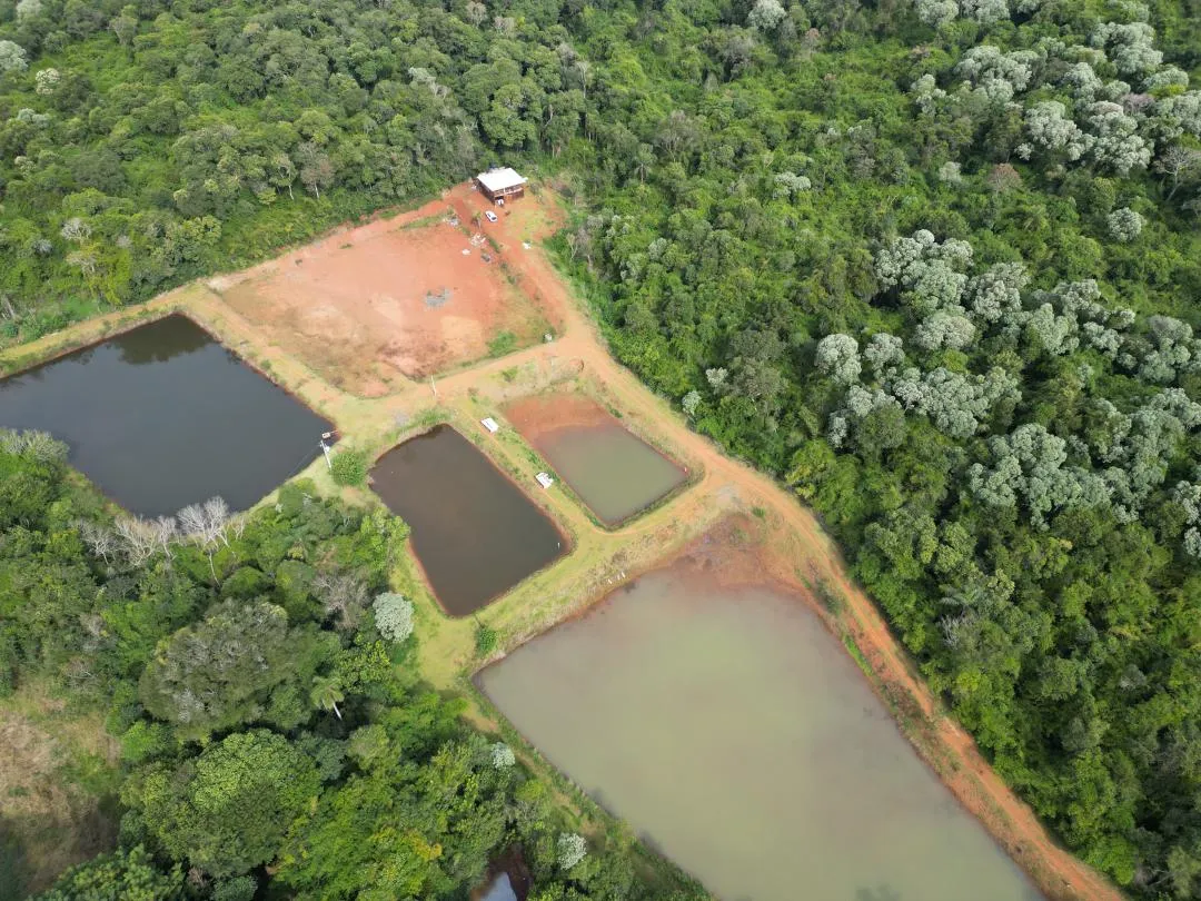 Imagem Chácara à venda em Cascavel, Centro - Casa de caseiro, Rio e Lago para pesca