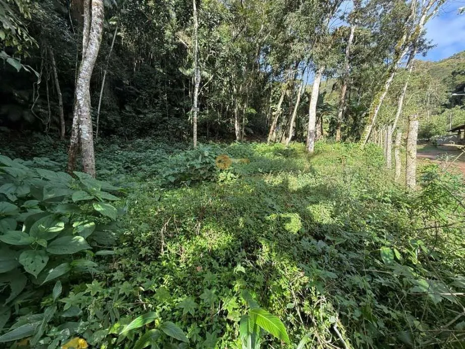 Imagem Terreno para Venda em Teresópolis / no bairro Albuquerque