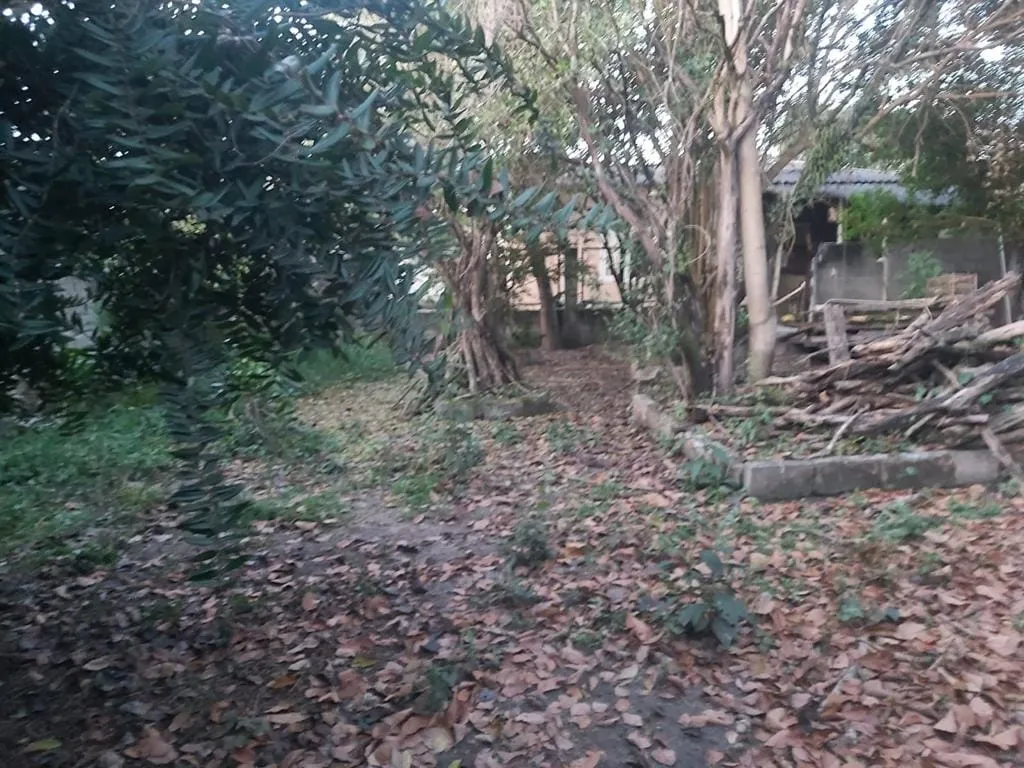Imagem Casa para Locação 2 Quartos, 1 Suite, 5 Vagas, 150M², Aterrado, Tremembé - SP