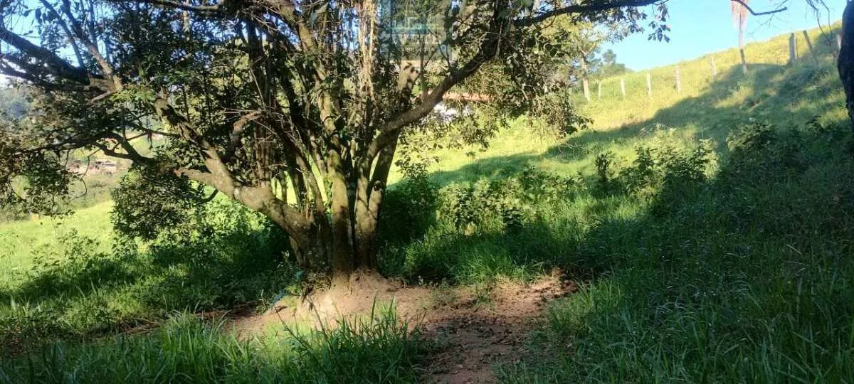 Imagem Ampla Área Rural à Venda em Pedra Bela/SP - Vista para a Pedra Maria Antônia