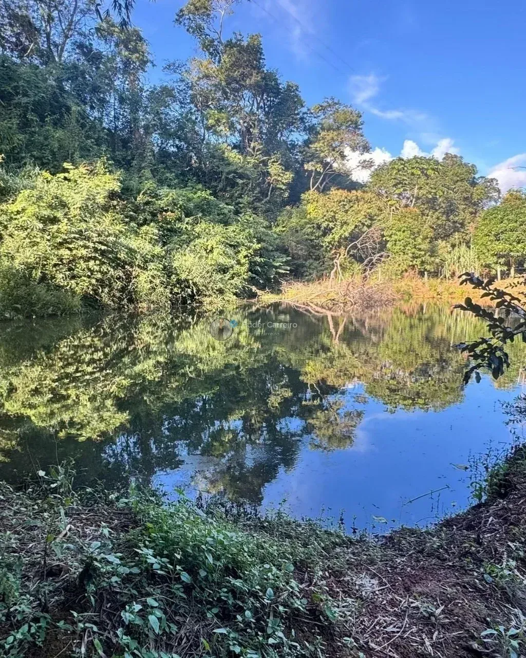 Imagem Imóvel