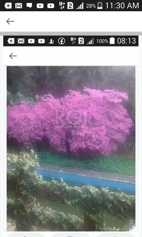 Imagem Area para Venda - 0m², 0 dormitórios, Campo Novo