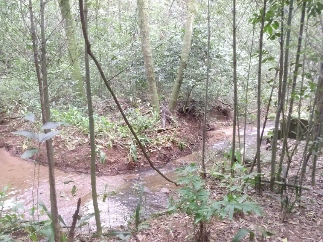 Imagem Area 6,69ha | Bairro Belem Velho