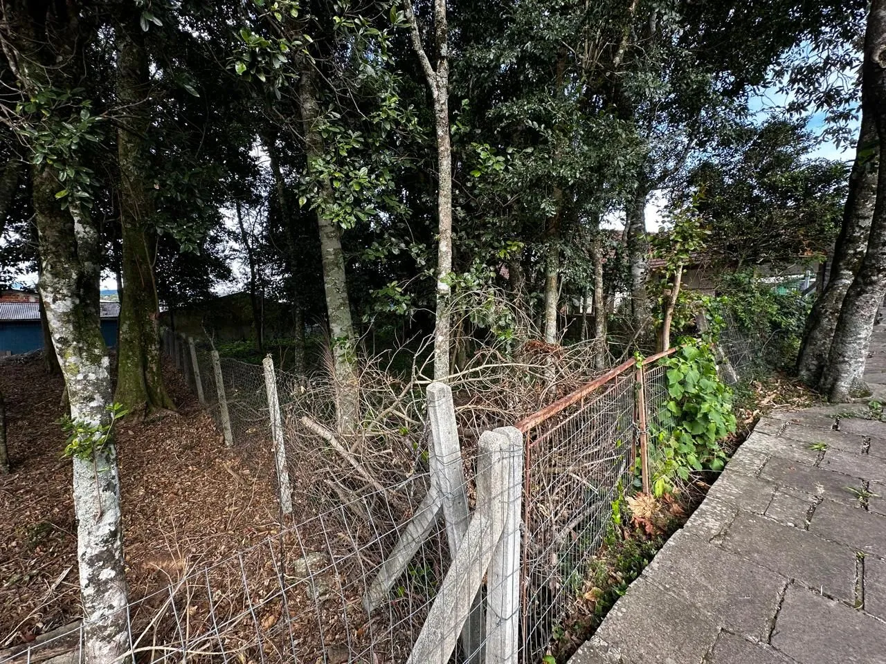 Imagem Terreno à venda em Gramado, Belvedere, 490.31m2