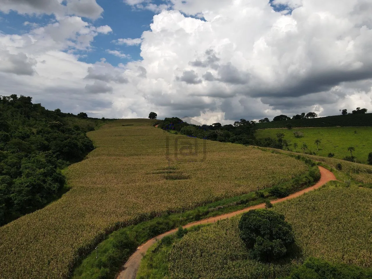 Imagem Fazenda 48 m² à venda em Roseira, Bandeira do Sul