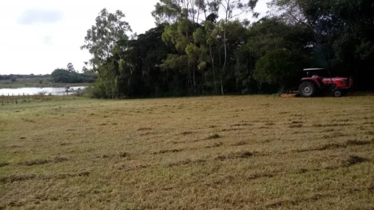 Imagem Sitio com 5.536m², mata nativa, Lagoa nos fundos, Águas Claras/ Viamão