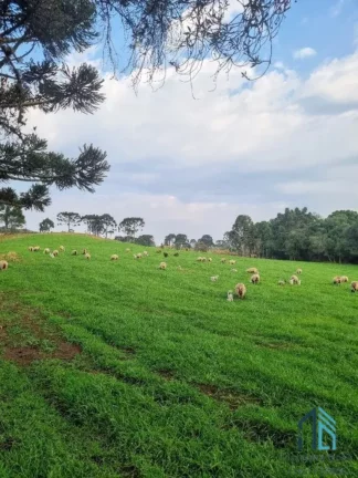 Imagem Sítio/Chácara a venda com 33 hectares bem localizado no interior de São Joaquim - SC