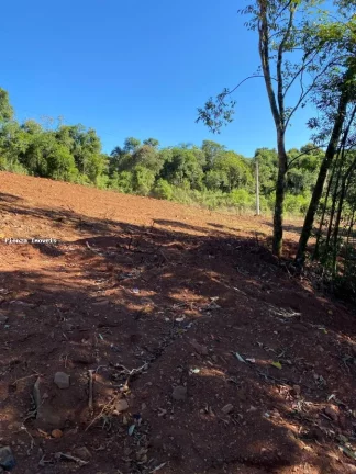 Imagem Terreno para Venda em Concórdia, Área Rural de Concórdia