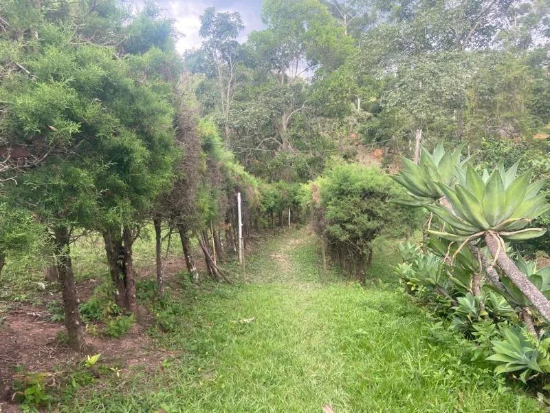 Imagem Vendo Excelente Chácara em Entre Rios de Minas - - Área de 1,6 hectares