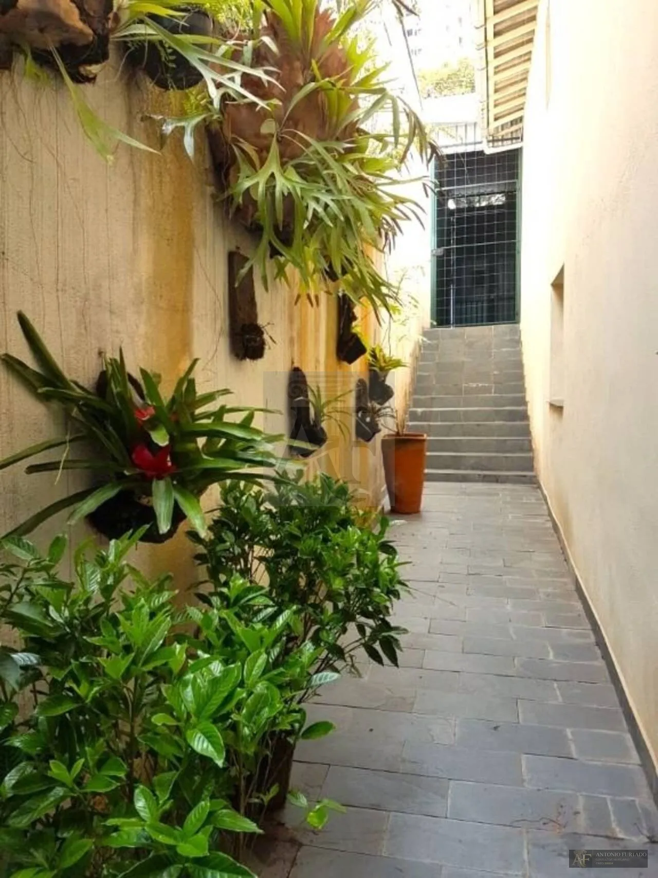 Imagem Casa à venda em Jardim Taquaral, São Paulo