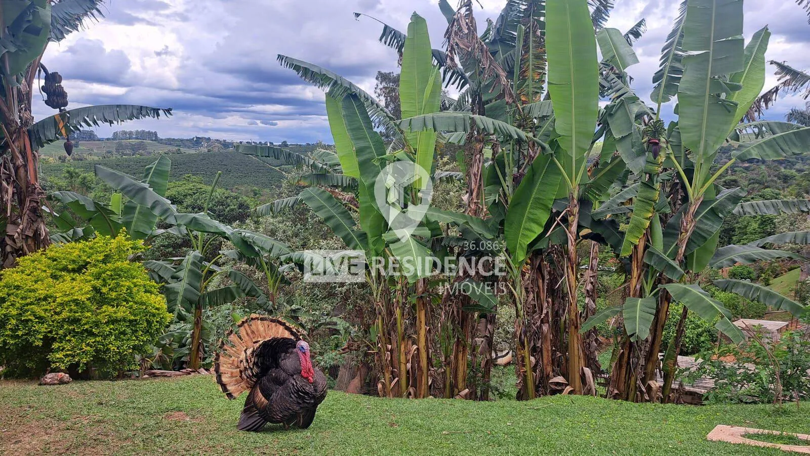 Imagem Chácara a venda no bairro Recanto dos Pássaros