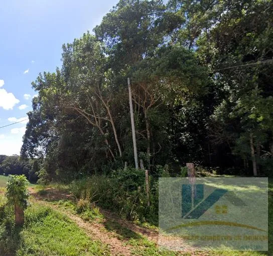 Foto do imóvel Terreno para Venda em São José dos Pinhais, Campestre da Faxina em Campestre da Faxina, São José dos Pinhais - PR