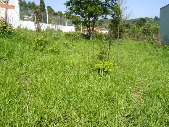 Imagem Terreno plano parte murado Mairiporã