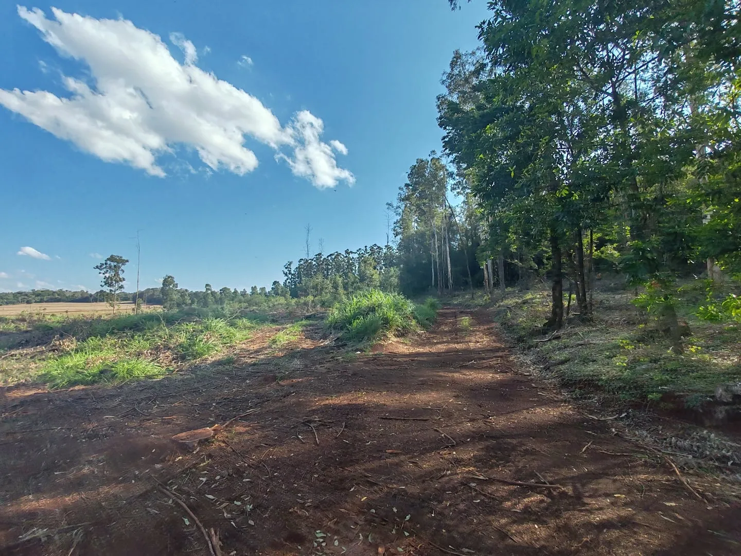 Imagem Chácara com 25.945 m² à venda em São Miguel do Iguaçu