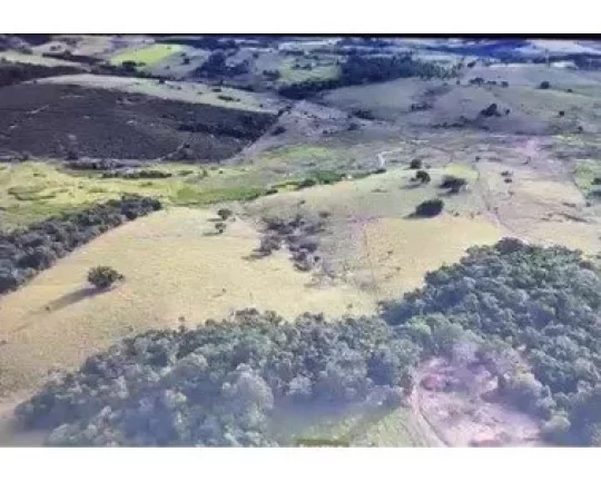 Foto do imóvel Fazenda a VENDA, Região Marilia/SP, 50 alqueires em Área Rural