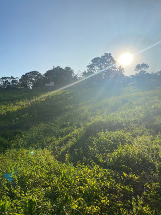 Imagem Chácara à Venda, 1.000 m² em Votora Curral Paruru - Ibiúna