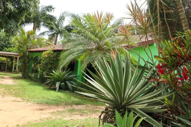 Imagem Excelente Sítio com 4.672m², em condomínio, no centro de Águas Claras