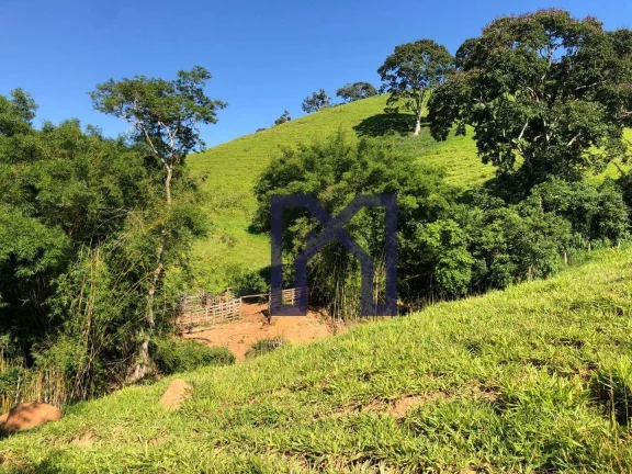 Imagem Sítio à venda, 19 Hectares por R$ 600.000 - Wenceslau Braz - Wenceslau Braz/MG
