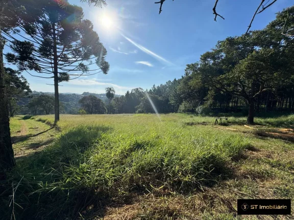 Área à venda em Terra Preta Mairiporã/SP - 48.000m² Próxima à Rodovia!
