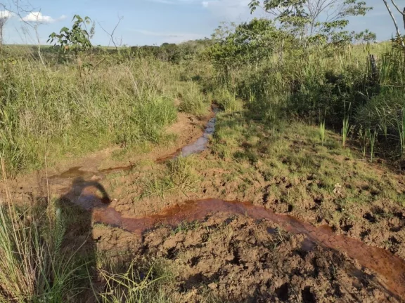 Imagem Sítio a VENDA, Avaí/SP, Área Rural, 10 alqueires