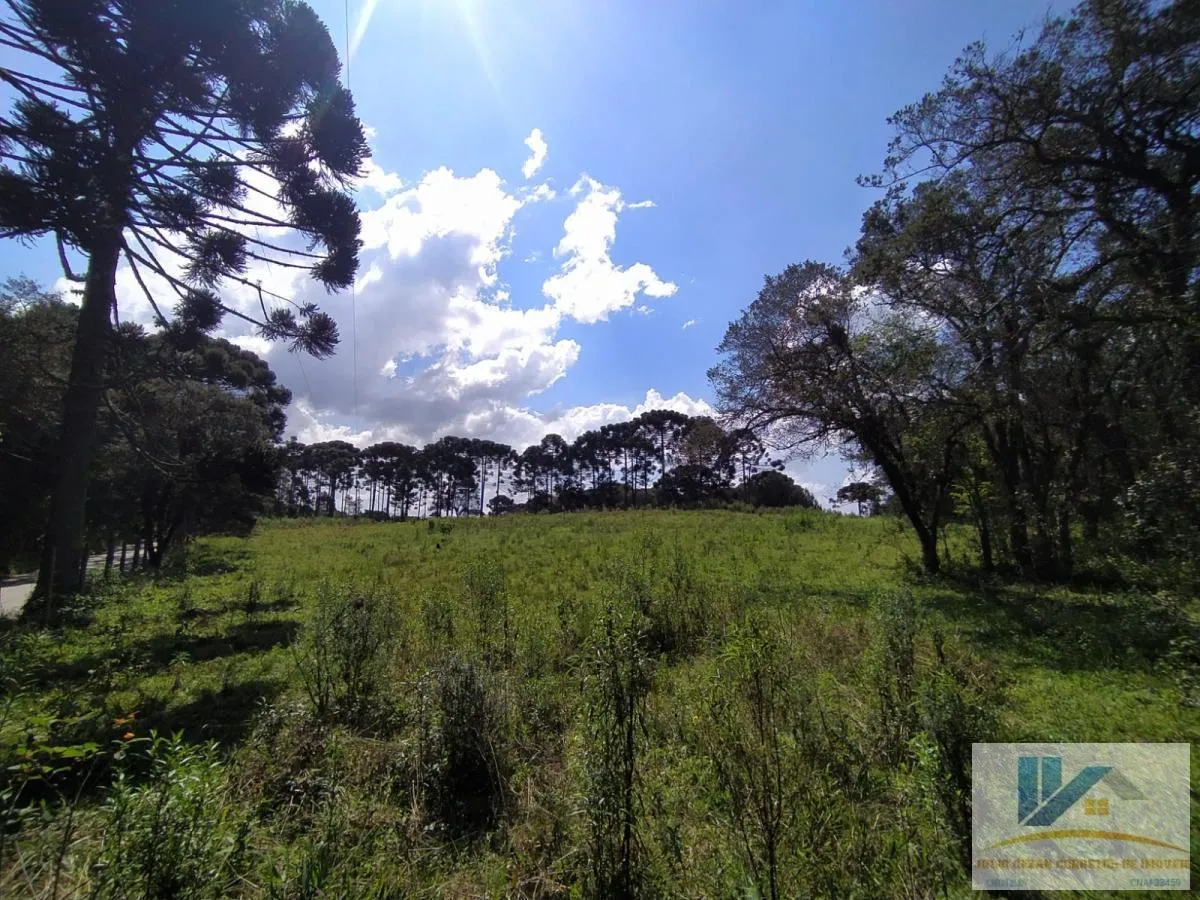 Imagem Terreno para Venda em São José dos Pinhais, Contenda, 1 dormitório