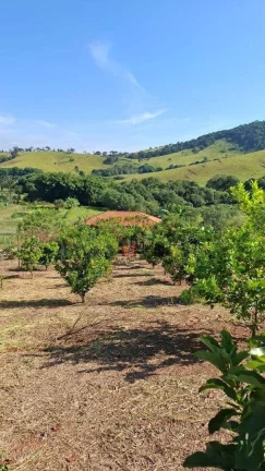Imagem Chácara com 2 dormitórios à venda, 5938 m² por R$ 550.000 - Cambuí - Cambuí/MG