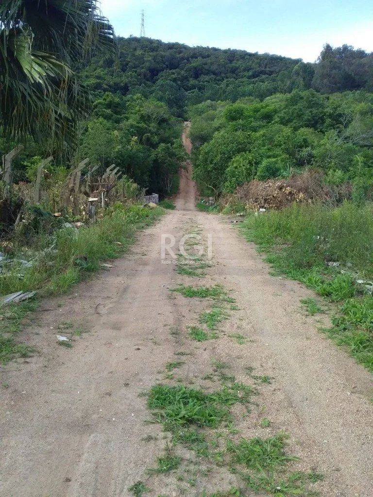 Imagem Area para Venda - 40000m², 0 dormitórios, Vila Nova