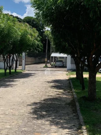 Imagem Apartamento com 3 dormitórios à venda por R$ 150.000 - DIRCEU (São Sebastião) Teresina/PI