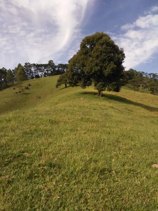 Foto do imóvel Sítio à venda em Joanópolis/SP | 7,5 alqueires | Nascentes | Duas casas | Excelente potencial para investimento em Rua João Antonio Ribeiro
