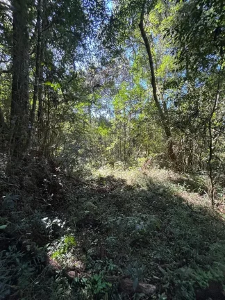 Imagem Chácara para venda no bairro Fazenda Souza em Caxias do Sul