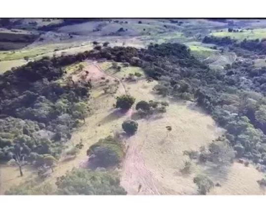 Imagem Fazenda a VENDA, Região Marilia/SP, 50 alqueires