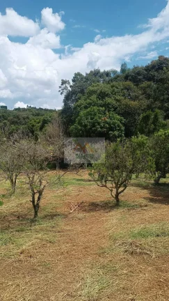 Imagem CHÁCARA JARDIM CANANÉIA
