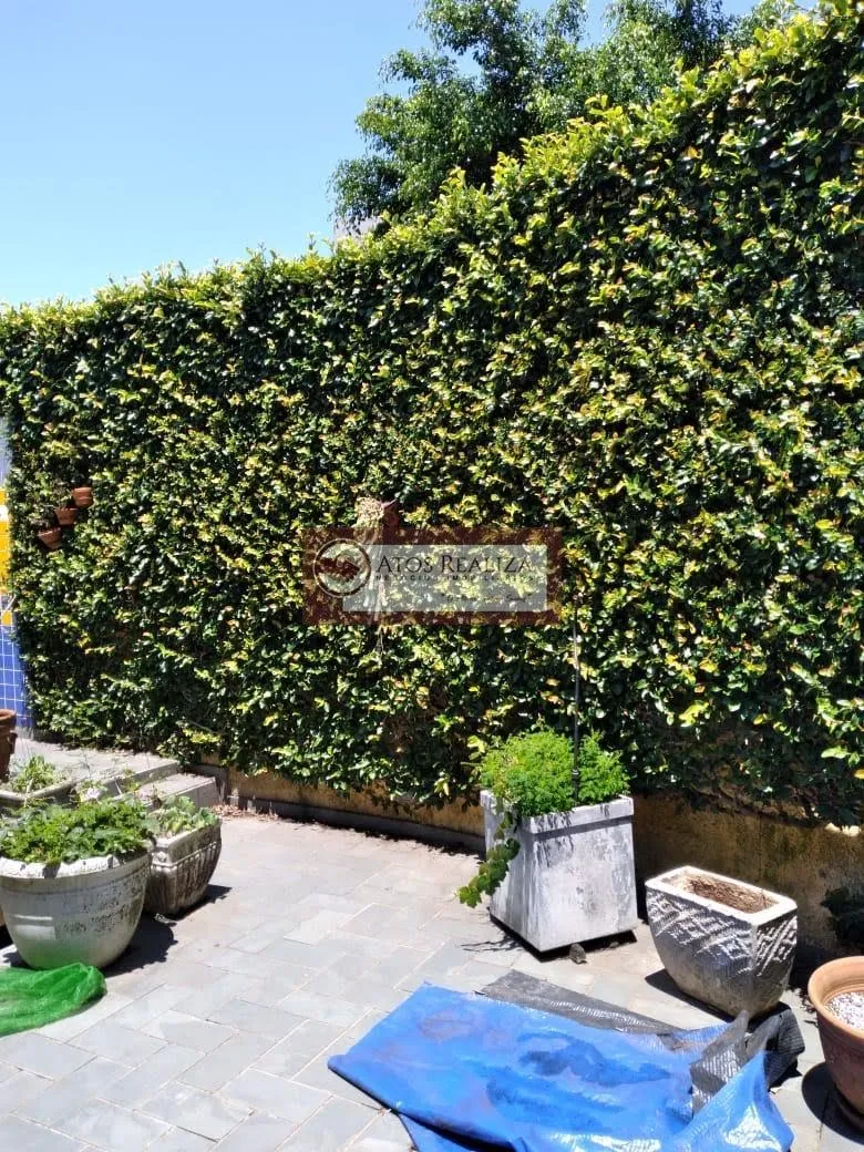 Imagem Casa térrea com edícula à venda em Jardim Esmeralda Região da Cidade Dutra SP. 300m², 3 dormitórios, 2 banheiros, 4 Vagas de garagem por R$800.000. Oportunidade!