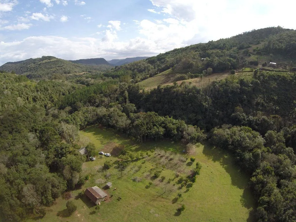 Imagem Chácara à venda em Gramado, Linha Forqueta, 223400m2