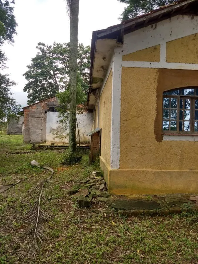 Imagem Sítio para Venda em Suzano, Ipelândia