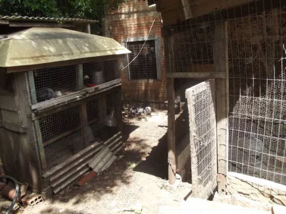 Imagem Sítio com 1.600m², Casa reformada, Galpão, arborizado, Águas Claras