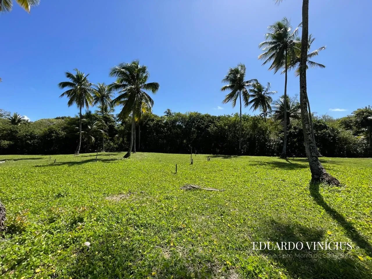 Imagem Sítio dos Coqueiros - Terreno 1.000 m² à Venda na Terceira Praia do Morro de São Paulo