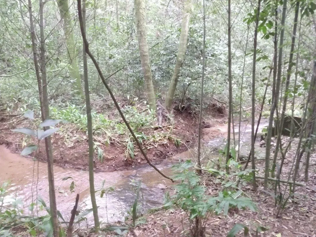 Imagem Área para Venda - 11,39ha, bairro Belém Velho