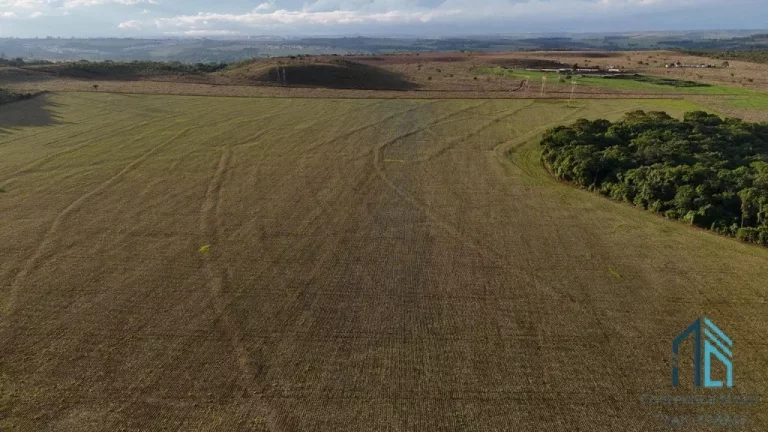 Imagem Fazenda Anápolis Goiás-GO Grande Potencial para Pecuária, Agricultura, Loteamento e Mineração