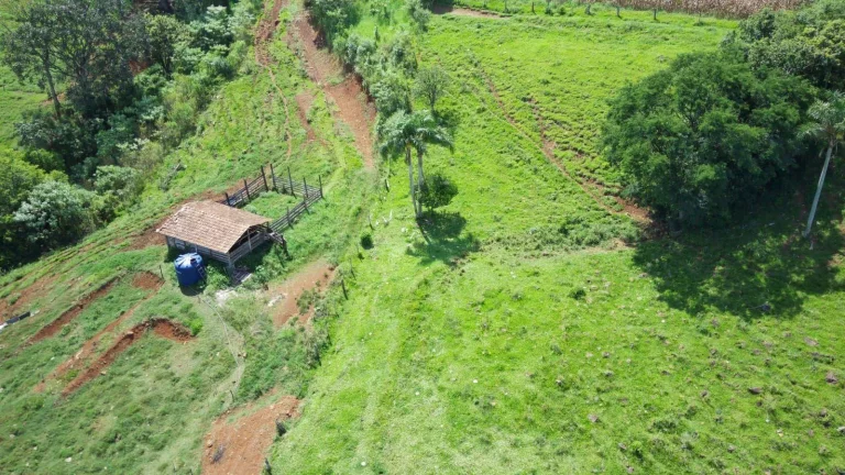 Imagem Área Agrícola para Venda em Arabuta, Rodovia
