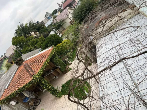 Imagem Casa para Venda em Santa Maria / RS no bairro Pé de Plátano