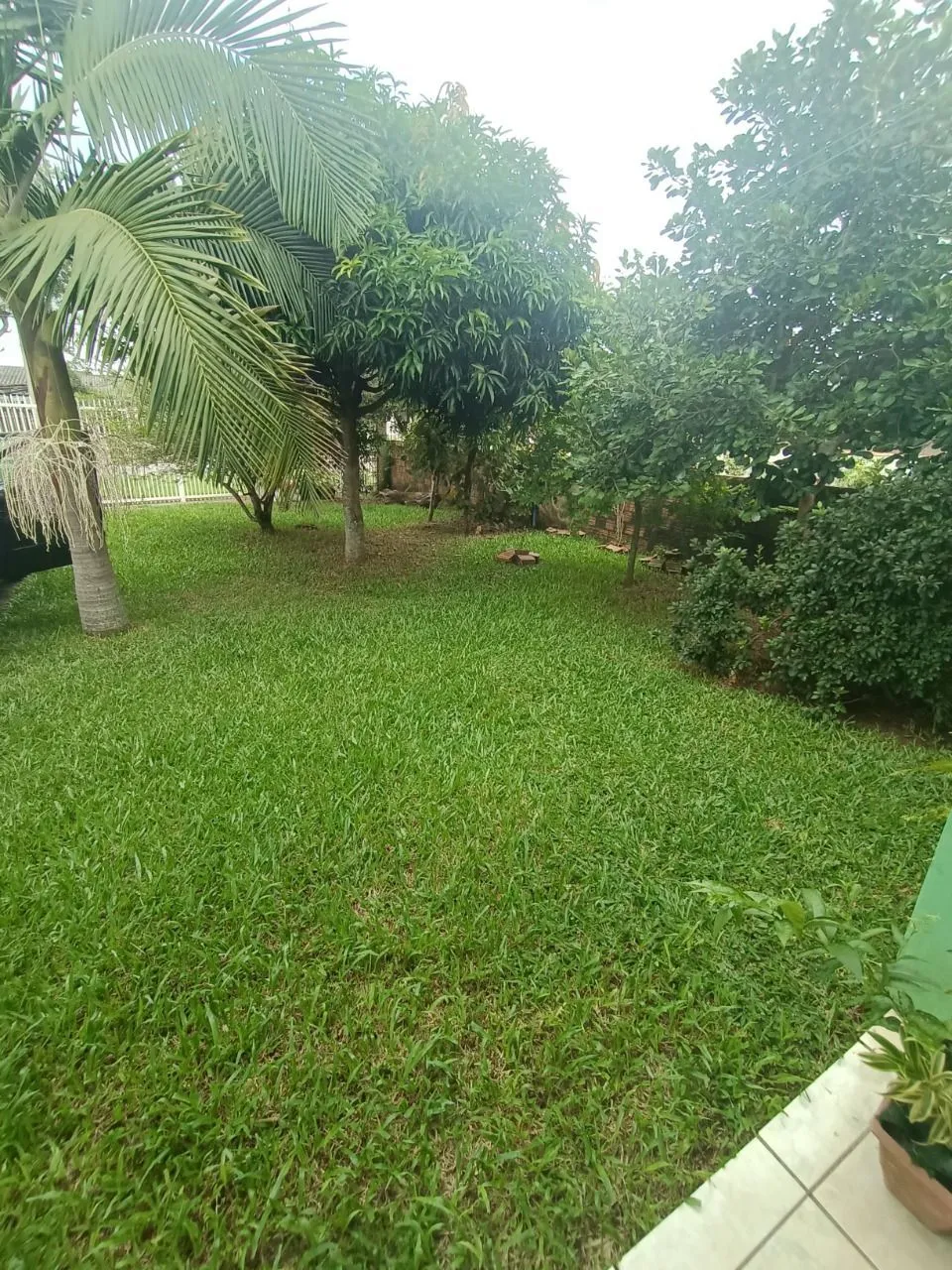 Imagem Casa em Florida