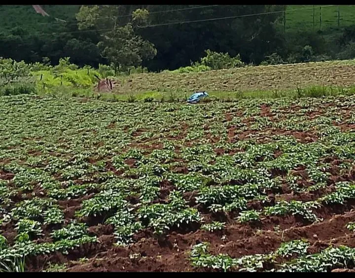 Imagem Vendo um excelente sítio em Piedade dos Gerais/MG, com 5,6 hectares (56.000 m²)
