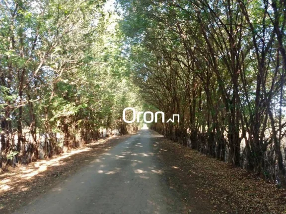 Imagem Fazenda com 5 dormitórios à venda, 3500000 m² por R$ 65.000.000,00 - Goiânia - Goiânia/GO