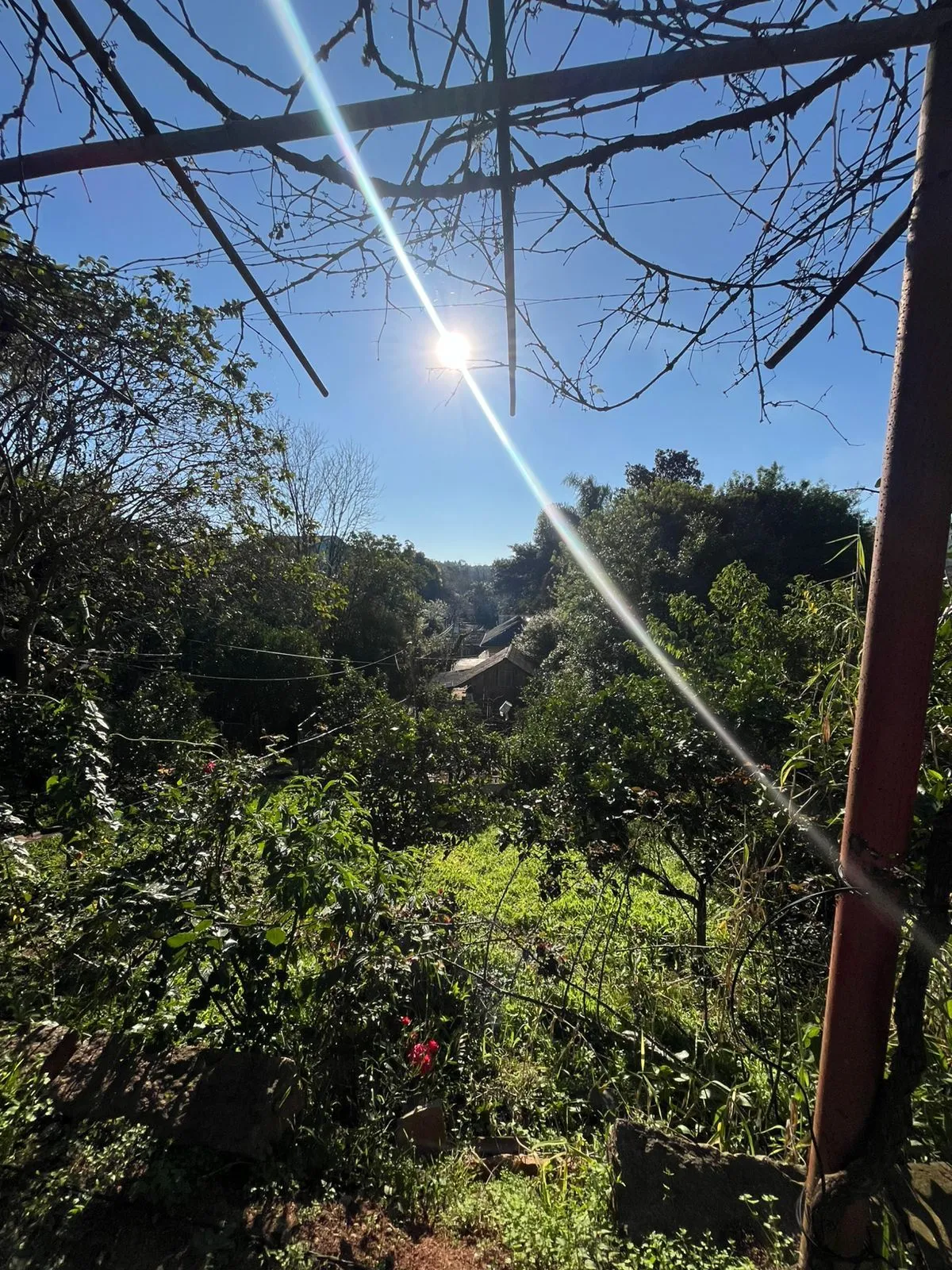 Imagem Terreno Amplo com 3 Casas - Vila Nova, Porto Alegre