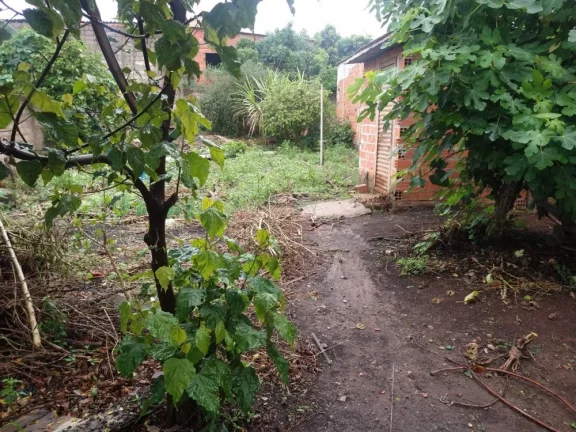 Imagem VENDE CHÁCARA CABREÚVA E REGIÃO -SP